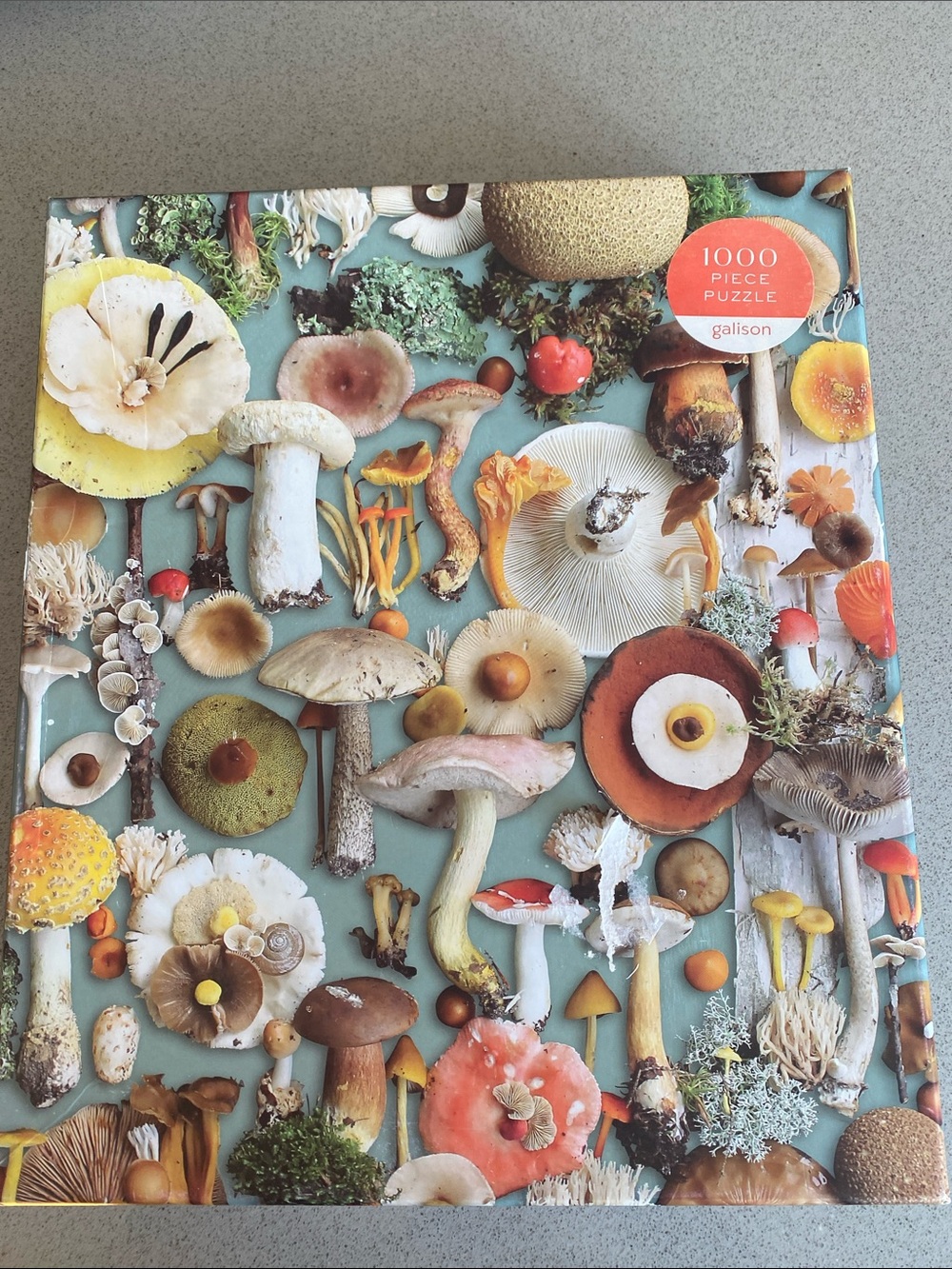1000-Piece Galison Foraged Mushroom Puzzle - Multicolor